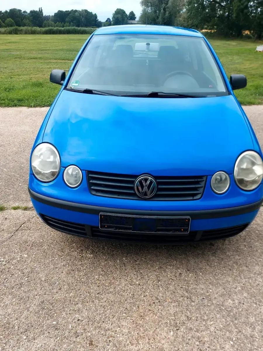 Gebraucht VW Polo 65 PS (47 kW) 2002 Blau Kleinwagen