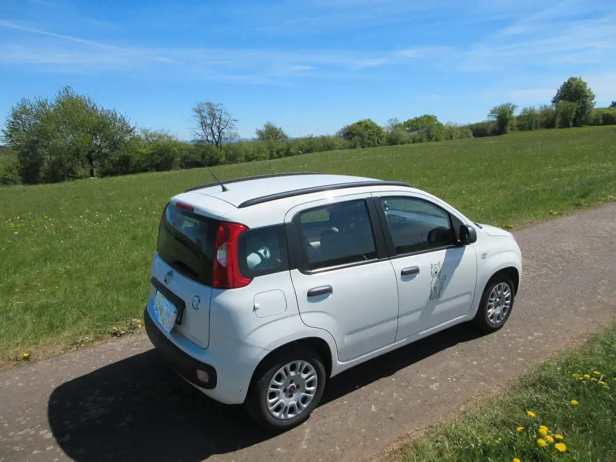 Occasion Fiat Panda 69 ch (50 kW) 2013 Blanc Citadine