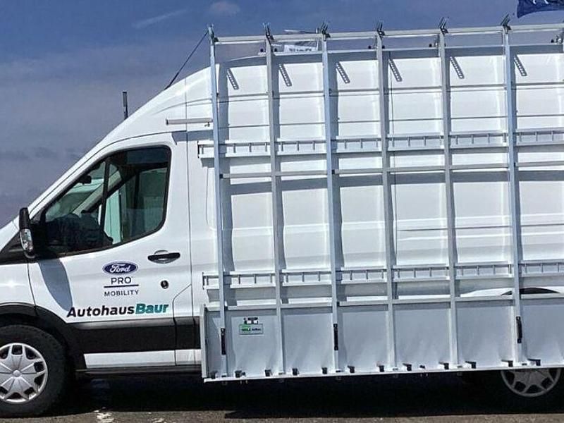 Gebraucht Ford Transit Trend 131 PS (96 kW) 2024 Weiss Pickup