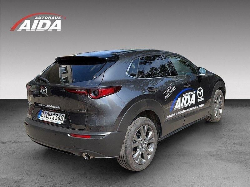 Gebraucht Mazda CX-30 Selection 186 PS (136 kW) 2023 Grau SUV