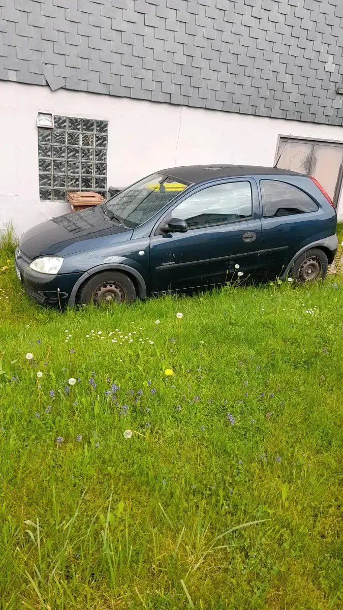 Occasion Opel Corsa 75 ch (55 kW) 2001 Citadine