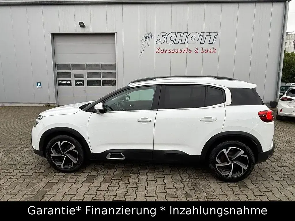 Gebraucht Citroën C5 Feel 131 PS (96 kW) 2019 Weiß Limousine