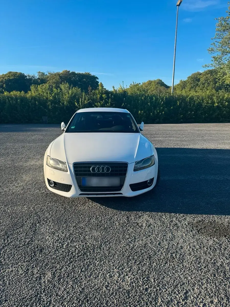 Gebraucht Audi A5 Sportback S-Line 143 PS (105 kW) 2011 Weiß Kleinwagen