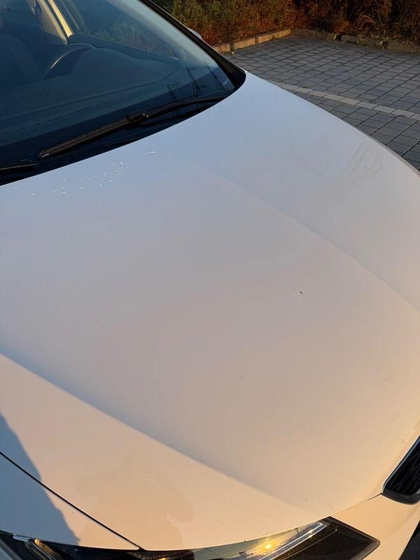Usata Seat Leon ST CUPRA 184 CV (135 kW) 2017 Bianco Station wagon