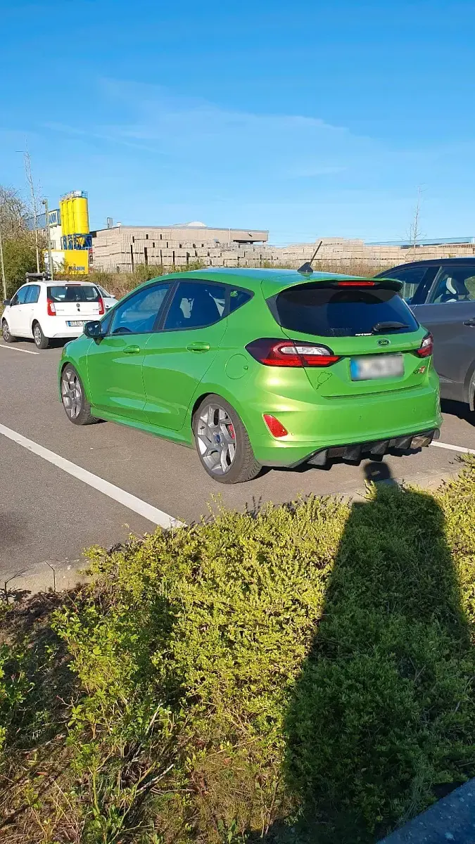 Gebraucht Ford Fiesta Performance Edition 200 PS (147 kW) 2022 Grün Kleinwagen