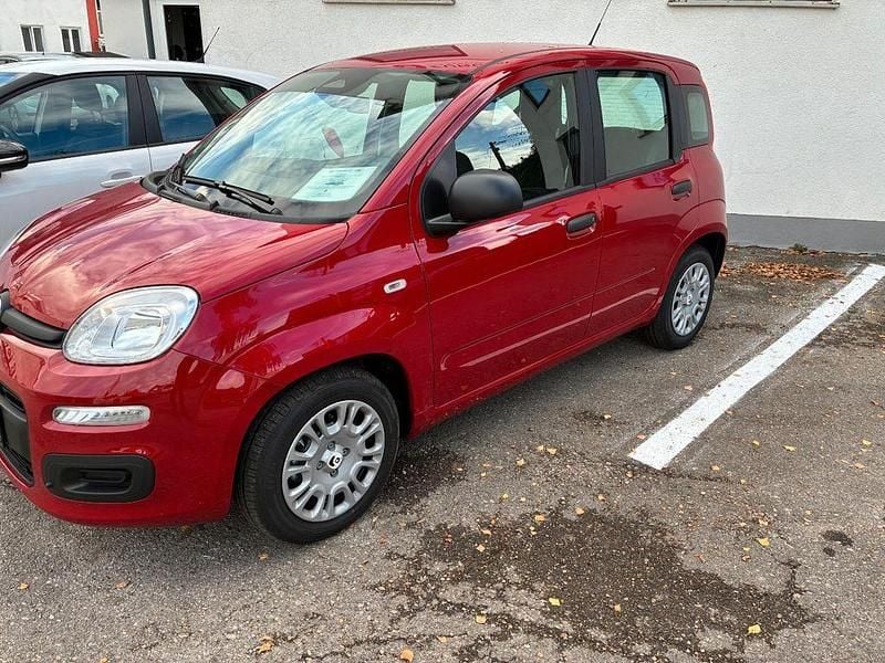 Neu Fiat Panda 69 PS (50 kW) 2025 Rot Kleinwagen