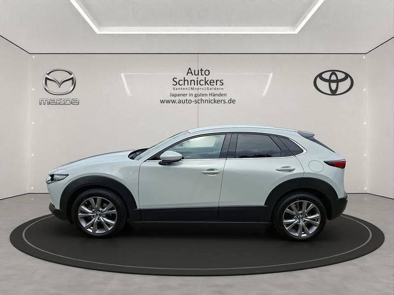 Gebraucht Mazda CX-30 Exclusive-Line 150 PS (110 kW) 2024 Weiß SUV