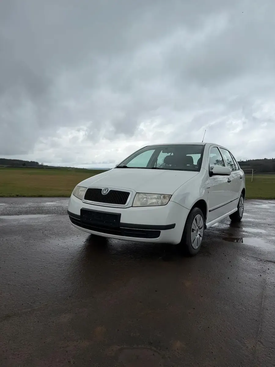 Gebraucht Skoda Fabia 54 PS (39 kW) 2004 Weiß Kleinwagen