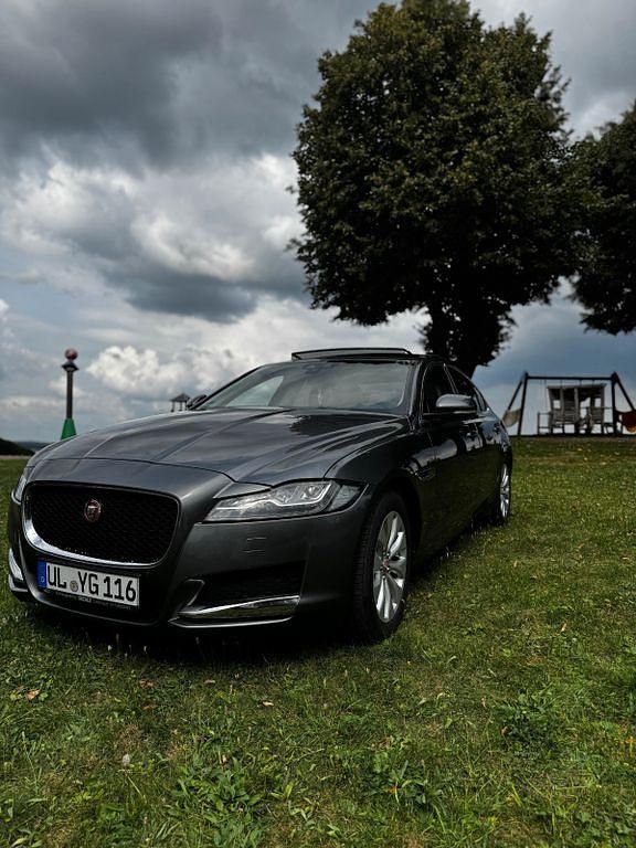 Gebraucht Jaguar XF Portfolio 163 PS (119 kW) 2016 Grau Limousine