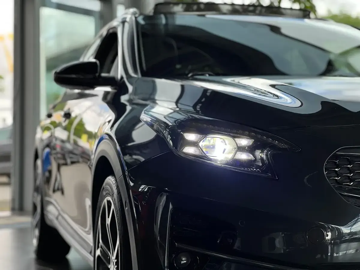 Gebraucht Kia XCeed Platinum Edition 204 PS (150 kW) 2020 Dark penta (metallic) SUV