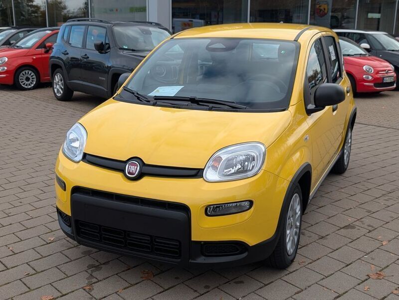 Neu Fiat Panda 69 PS (50 kW) 2025 Gelb Kleinwagen