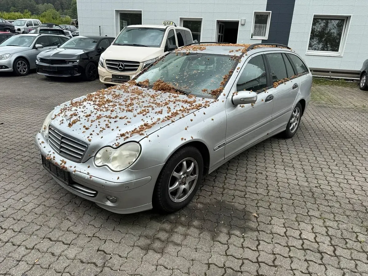 Gebraucht Mercedes C200 100 PS (73 kW) 2000 Andere farben Limousine