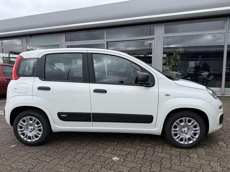 Neu Fiat Panda 69 PS (50 kW) 2025 Gelato weiss Kleinwagen