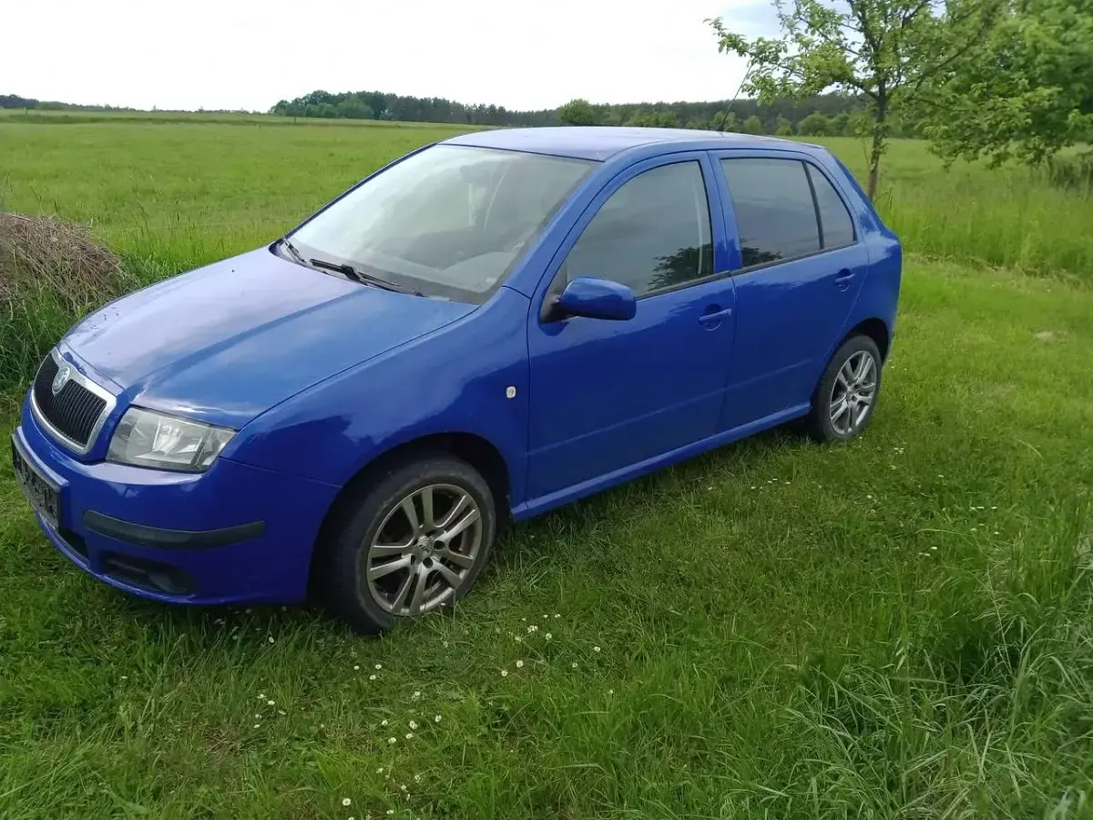 Brugt Skoda Fabia Ambiente 54 HK (39 kW) 2006 Blå Sedan