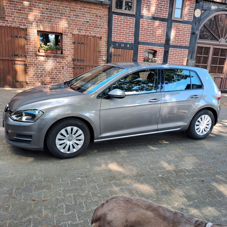Grau Gebraucht 2013 VW Golf VII Trendline Limousine | 13.500 € (Etwas zu teuer) - Bild 1/4