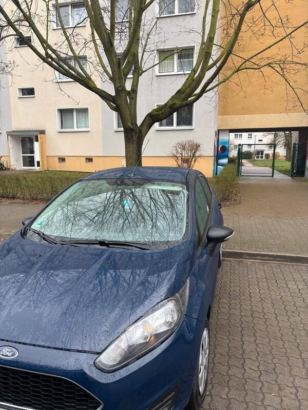 Blau Gebraucht 2016 Ford Fiesta Ambiente Kleinwagen | 7.000 € (Fairer Preis) - Bild 1/4
