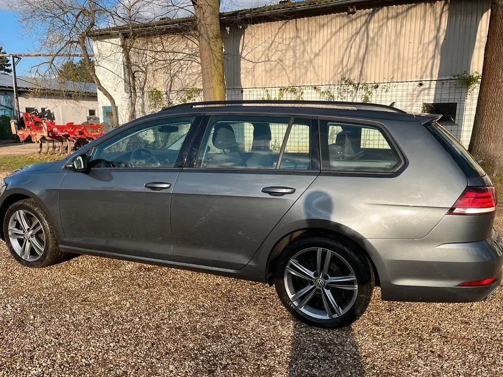 Gebraucht VW Golf VII Trendline 116 PS (85 kW) 2018 Grau Kombi