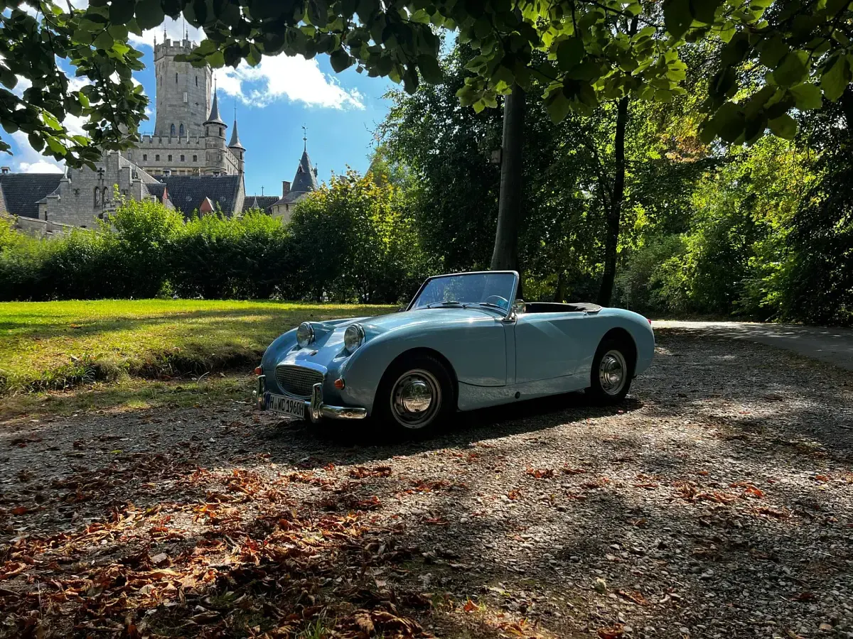Gebraucht Austin Healey Sprite 65 PS (47 kW) 1960 Blau Cabrio