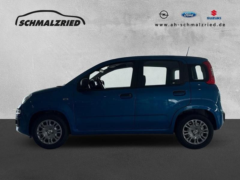 Neu Fiat Panda 69 PS (50 kW) 2025 Blau Kleinwagen