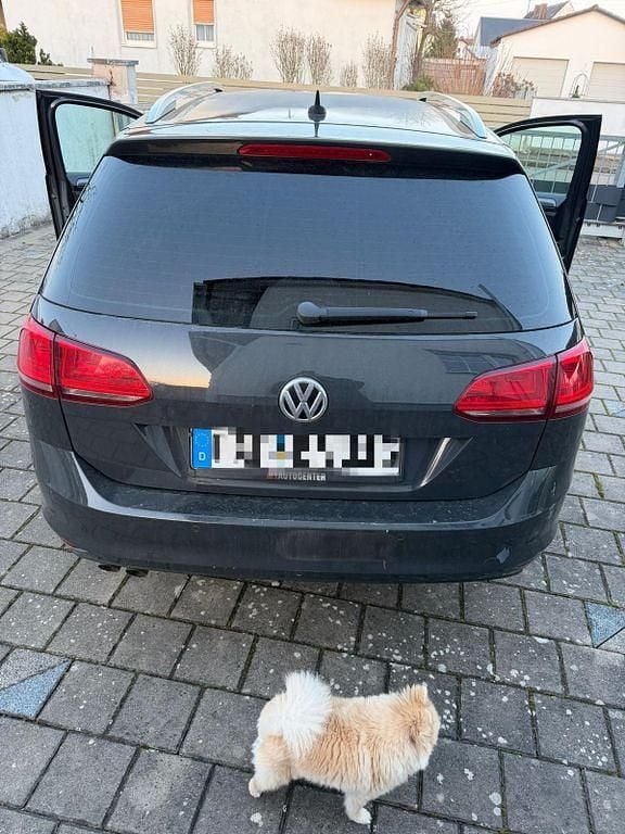 Gebraucht VW Golf Alltrack 150 PS (110 kW) 2017 Grau Kombi