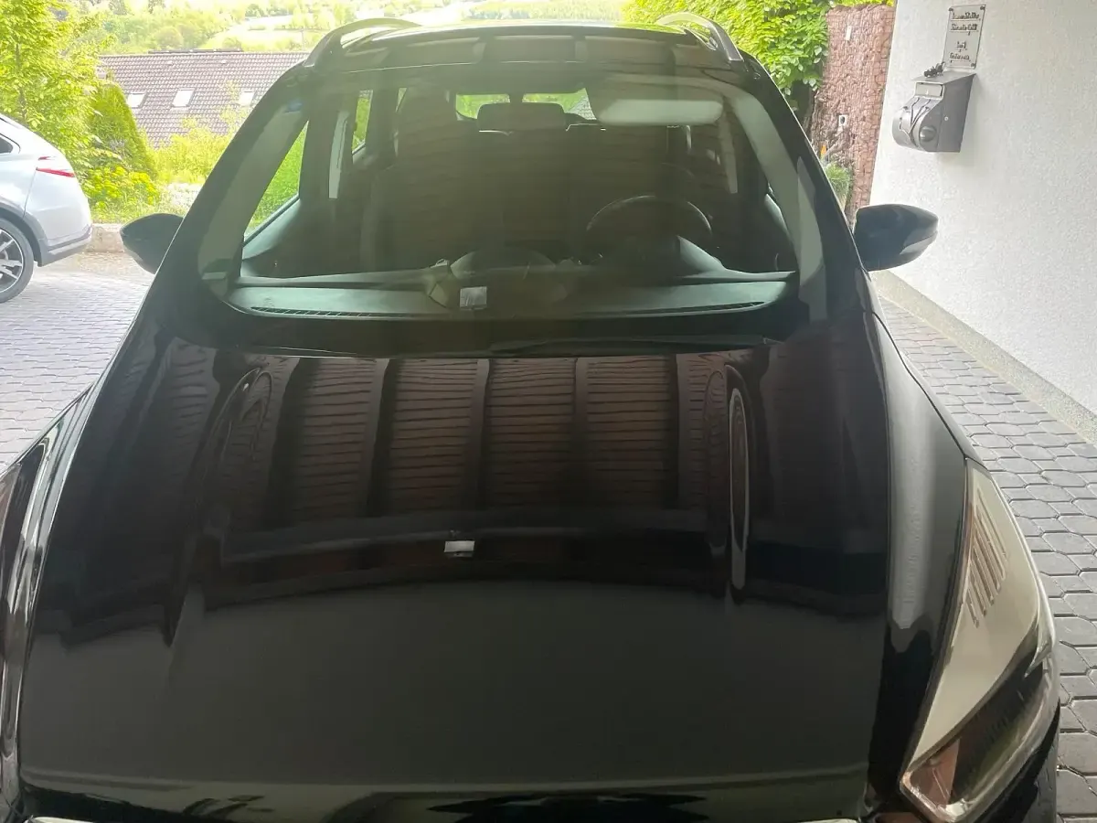 Usado Ford Kuga Trend 120 HP (88 kW) 2019 Preto SUV