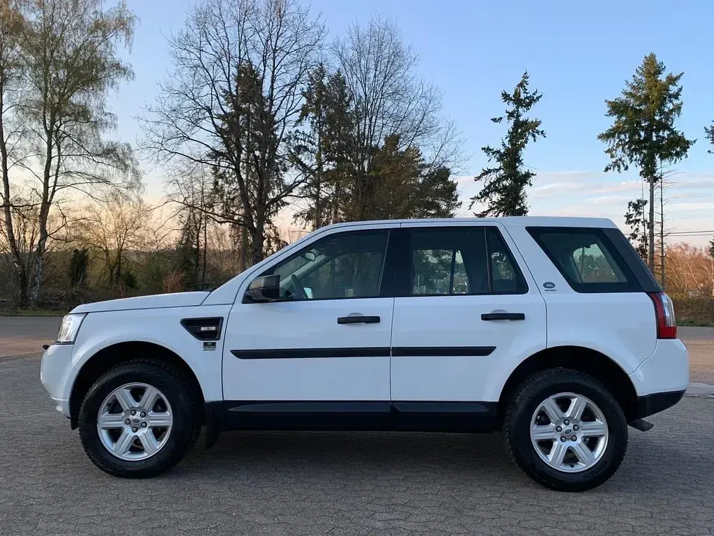 Brugt Land Rover Freelander 2 150 HK (110 kW) 2012 Hvid SUV