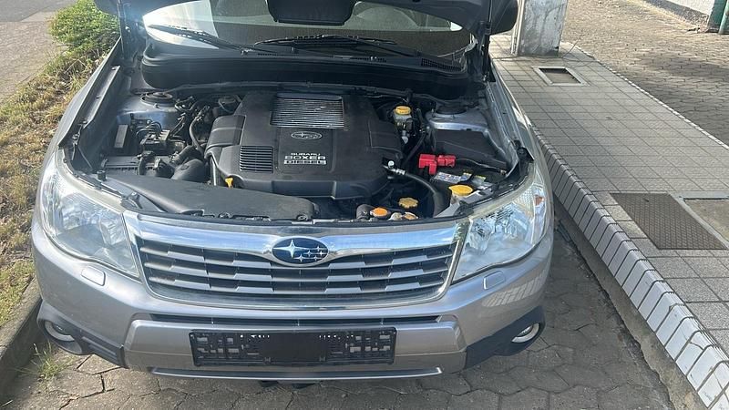Occasion Subaru Forester 147 ch (108 kW) 2011 Gris SUV