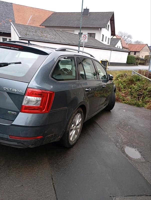 Gebraucht Skoda Octavia 131 PS (96 kW) 2020 Grau Kombi