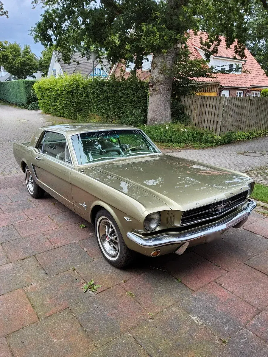 Gebraucht Ford Mustang 210 PS (154 kW) 1965 Grün Coupé