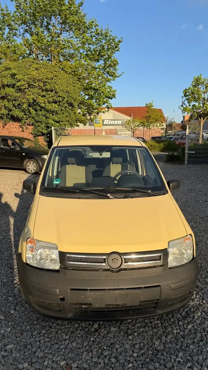 Brugt Fiat Panda 60 HK (44 kW) 2009 Gul Hatchback