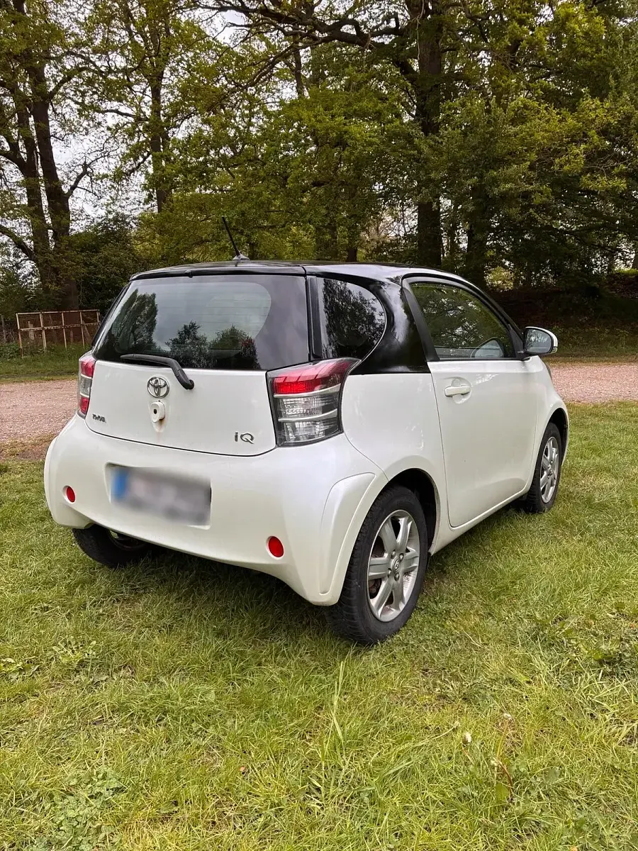 Second-hand Toyota iQ 68 CP (50 kW) 2009 Alb Hatchback
