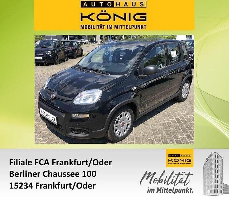 Schwarz Gebraucht 2024 Fiat Panda Limousine | 11.999 € (Fairer Preis) - Bild 1/4