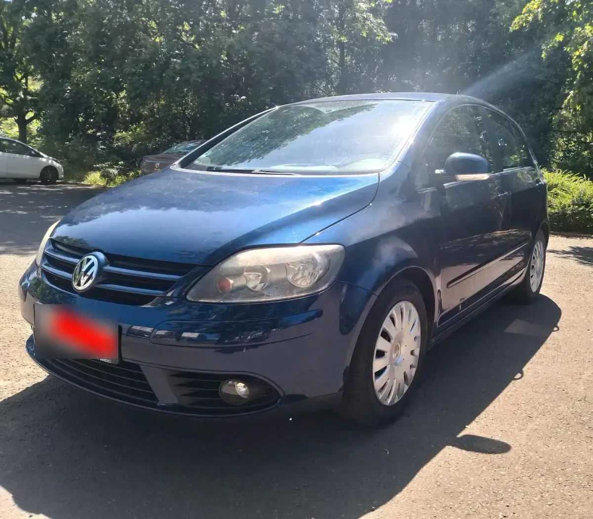 Gebraucht VW Golf Plus Cross 116 PS (85 kW) 2006 Blau Van / Kleinbus