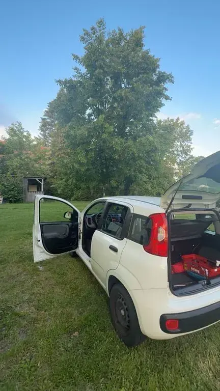 Gebraucht Fiat Panda 69 PS (50 kW) 2016 Weiß Kleinwagen