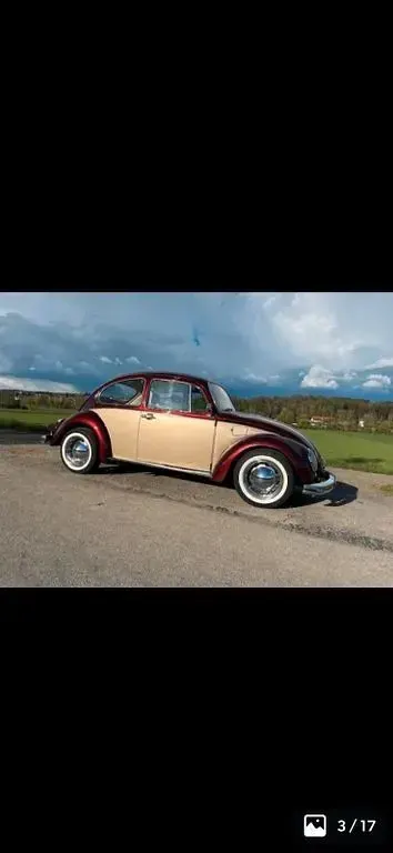 Gebraucht VW Käfer 34 PS (25 kW) 1969 Rot Kleinwagen