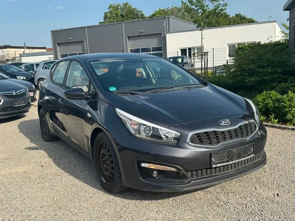 Usado Kia Ceed Edition 7 101 CV (74 kW) 2018 Gris Utilitario