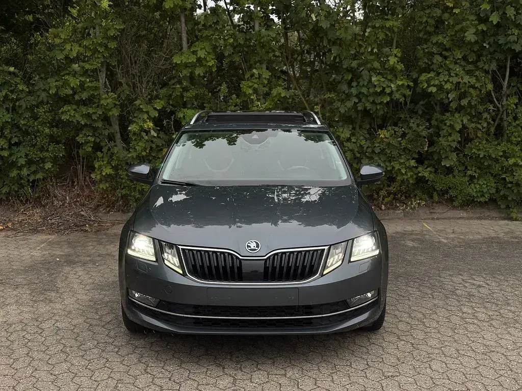 Gebraucht Skoda Octavia 150 PS (110 kW) 2018 Grau Limousine