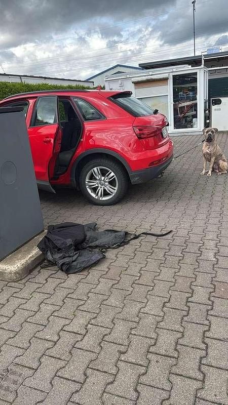 Gebraucht Audi Q3 150 PS (110 kW) 2014 Rot SUV