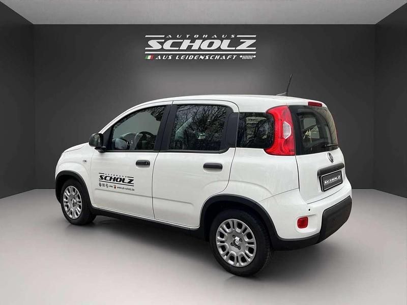 Gebraucht Fiat Panda 69 PS (50 kW) 2024 Weiß Kleinwagen