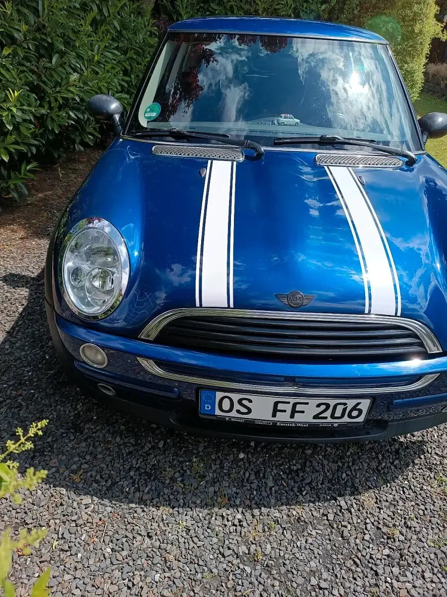 Käytetty Mini Cooper 90 HP (66 kW) 2001 Sininen Viistoperä