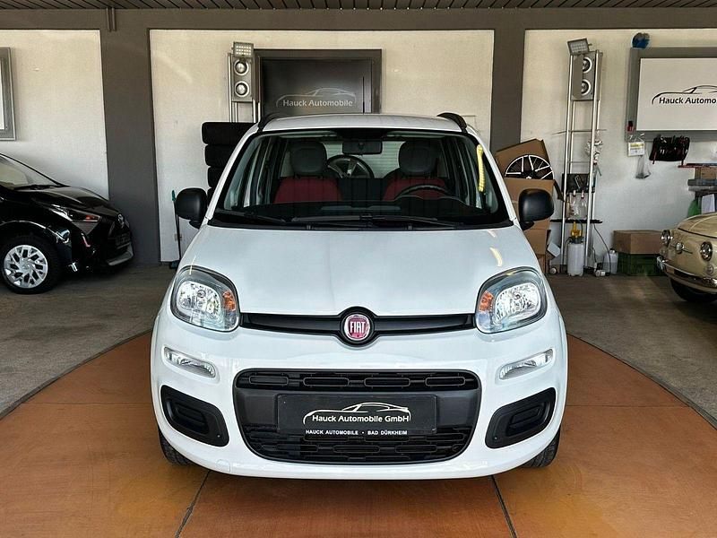 Gebraucht Fiat Panda 69 PS (50 kW) 2013 Weiß Kleinwagen