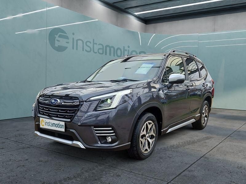 Grau Neu 2024 Subaru Forester SUV | 38.199 € (Fairer Preis) - Bild 1/4
