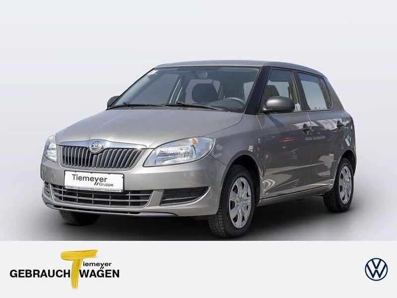 Beige Gebraucht 2013 Skoda Fabia Active Kleinwagen | 6.990 € (Fairer Preis) - Bild 1/4