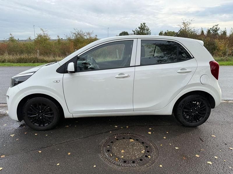 Gebraucht Kia Picanto Edition 7 67 PS (49 kW) 2019 Weiß Kleinwagen
