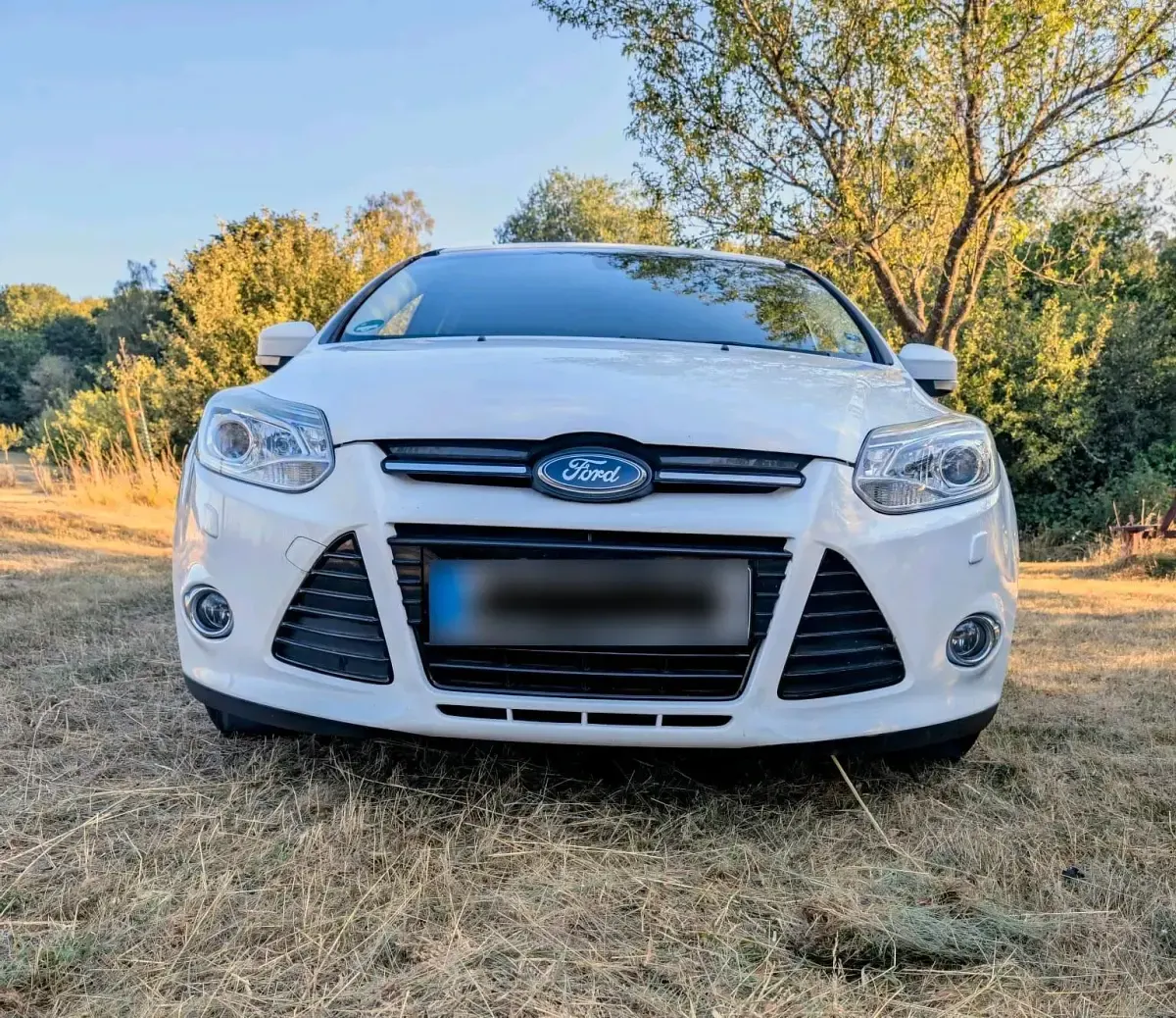 Gebraucht Ford Focus 125 PS (91 kW) 2014 Weiß Kombi