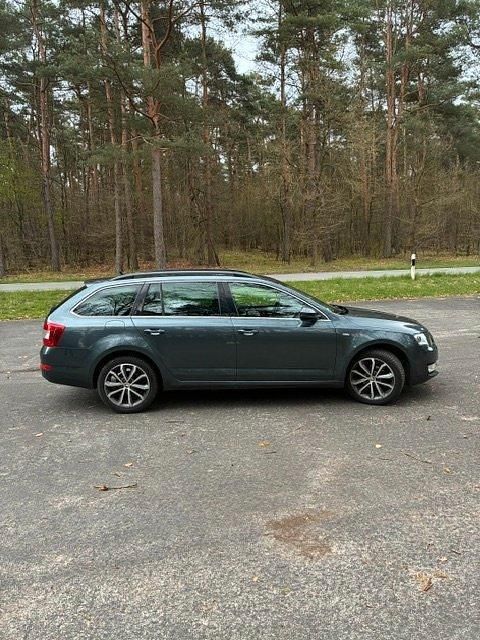 Gebraucht Skoda Octavia 110 PS (80 kW) 2015 Grau Kleinwagen