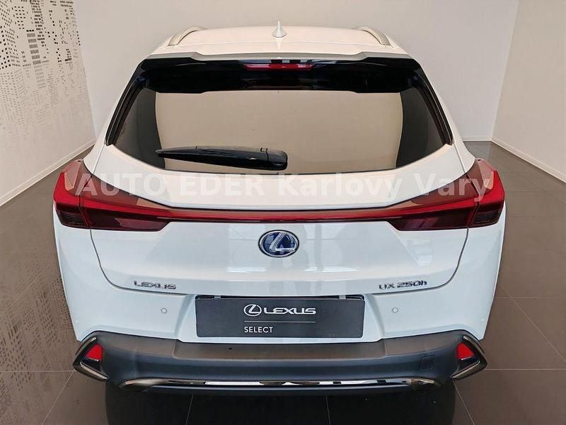 Gebraucht Lexus UX 250h Sport Line 152 PS (111 kW) 2019 Weiß SUV