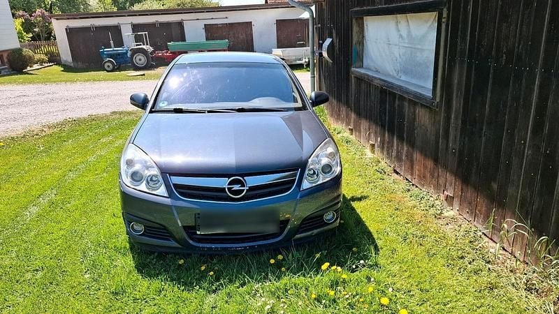 Blau Gebraucht 2008 Opel Signum Kombi | 500 € (Superpreis) - Bild 1/4