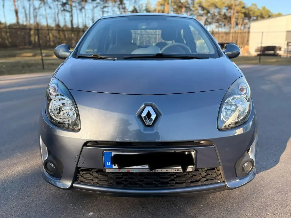 Gebraucht Renault Twingo Rip Curl 76 PS (55 kW) 2009 Grau Kleinwagen