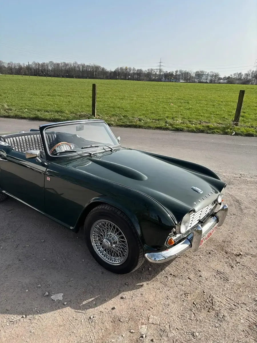 Gebraucht Triumph TR4 100 PS (73 kW) 1964 Grün Cabrio